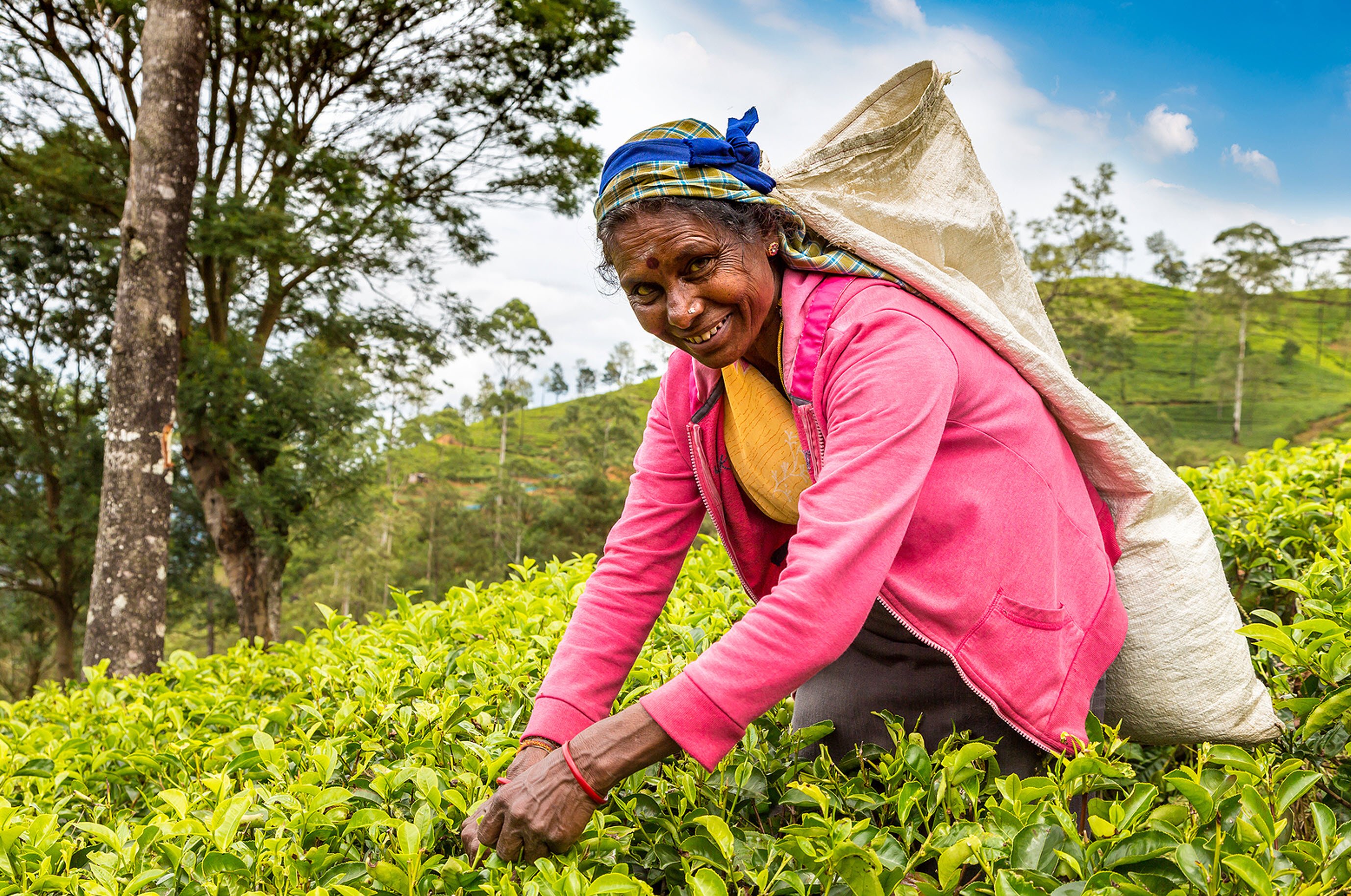 Fairtrade Farmer Sustainability Report 2022
