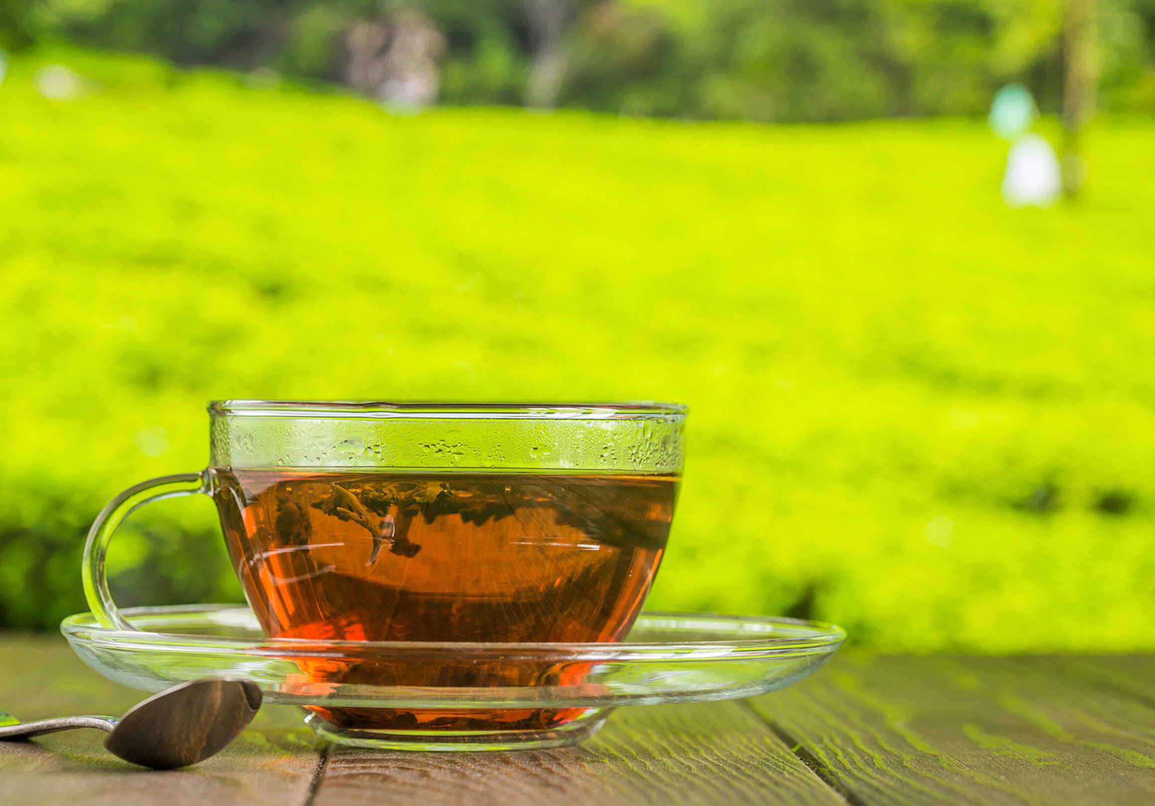 Tea Labeling and Sustainability