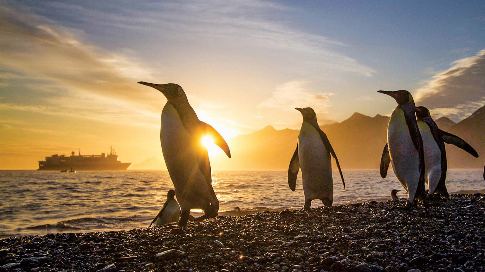 Lindblad Expeditions-National Geographic Epic Voyages