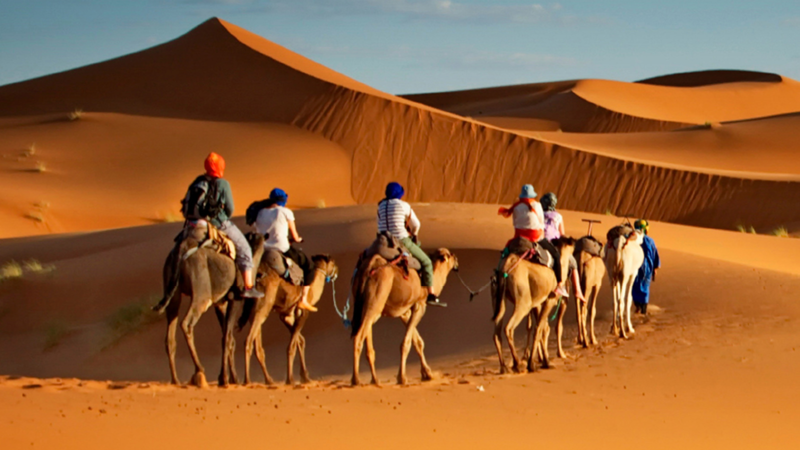 Abu Dhabi Camel trekking