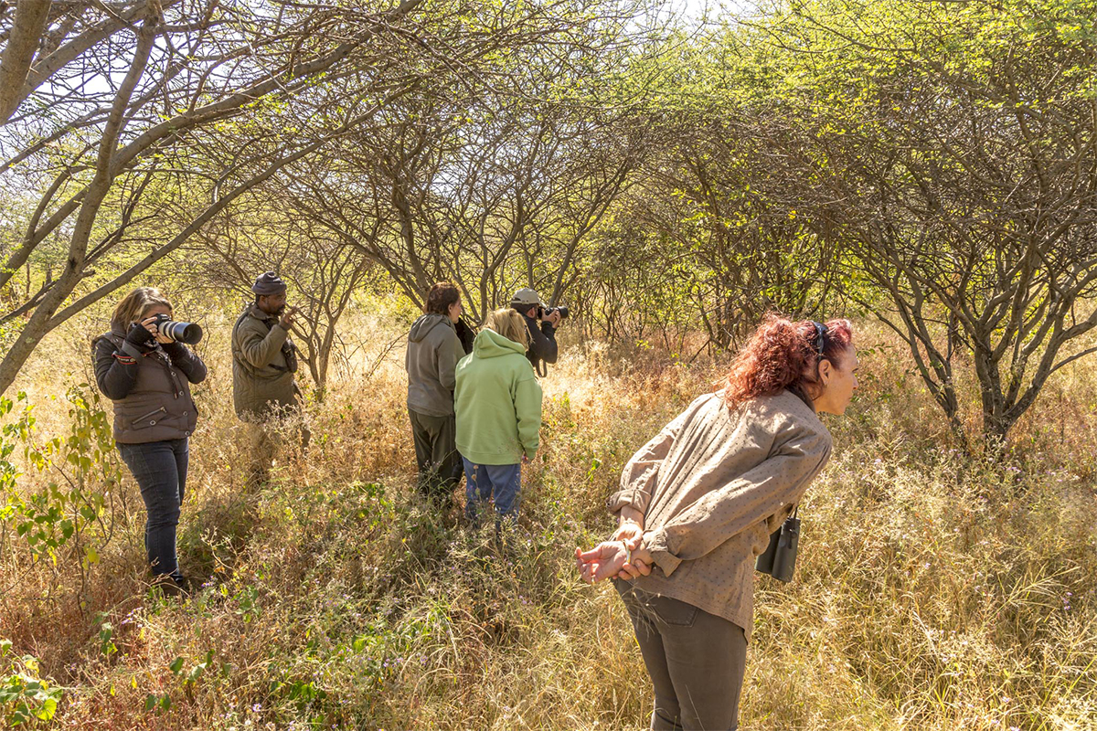 Searching for leopards across the savannahFemale-founded AfriCat Foundation