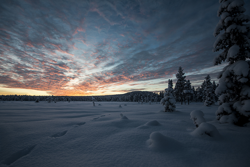 Arctic Lapland Sweden