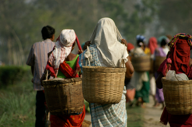 Assam-Tea-workersjpg