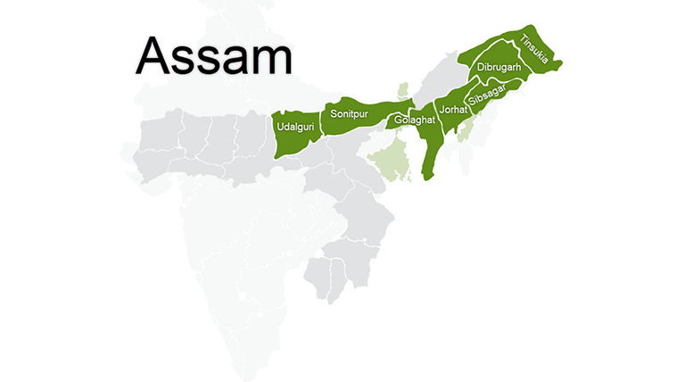 Assam-slideshow2png