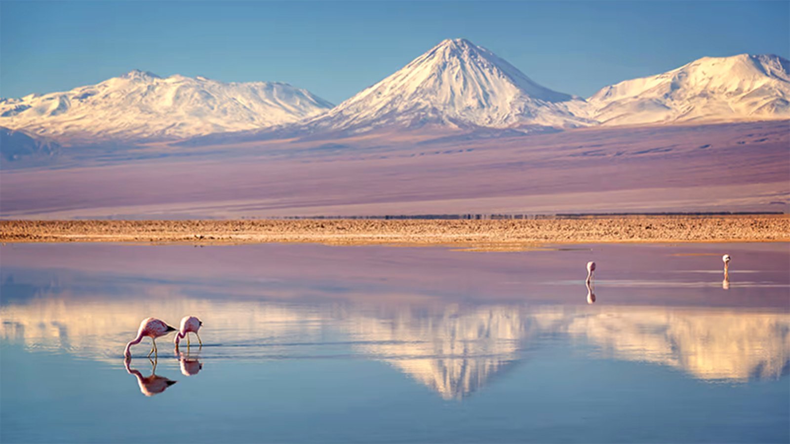 Atacama salt flats 