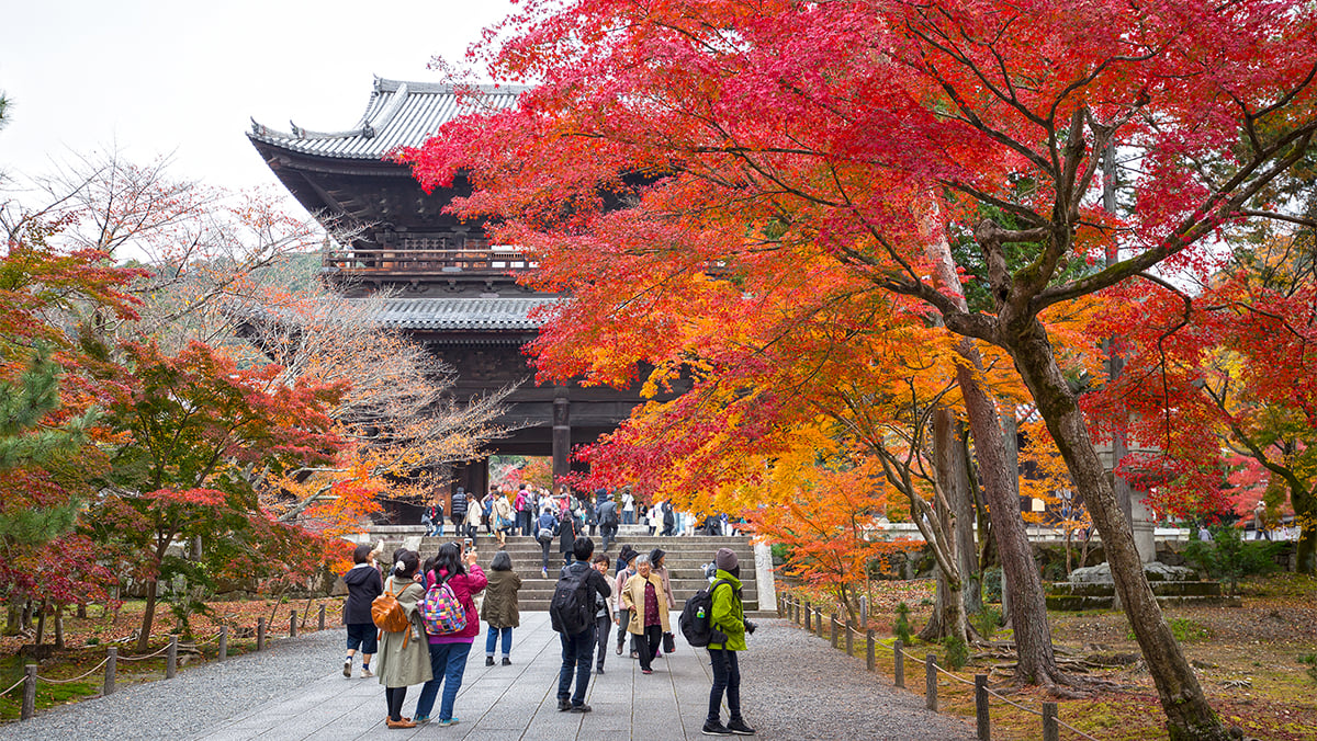 Autumn LeavesNanzenji Kyoto Inside Travel Group