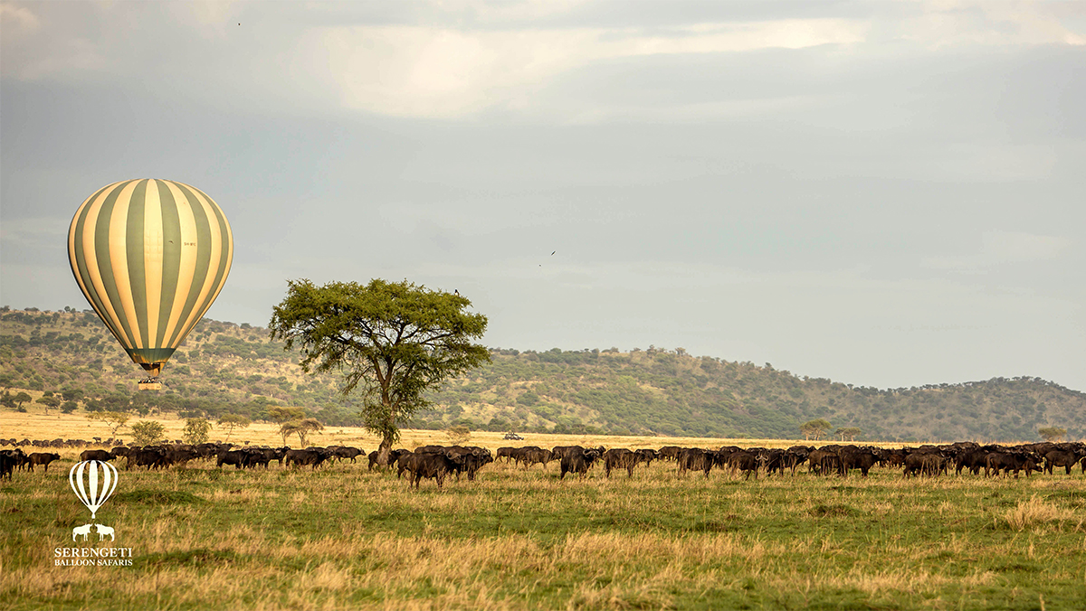 Serengeti Balloon Safaris