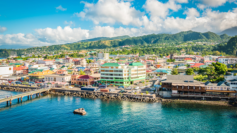 Dominica Launches Online Immigration Forms