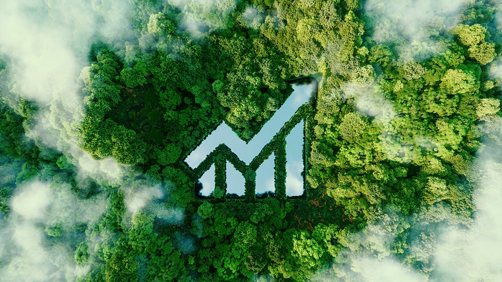forest with lake in the shape of a chart