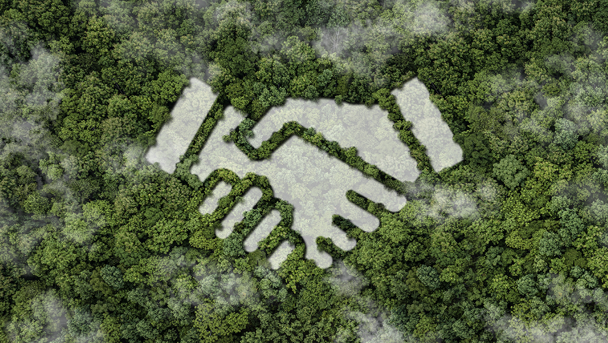 Handshake image in trees