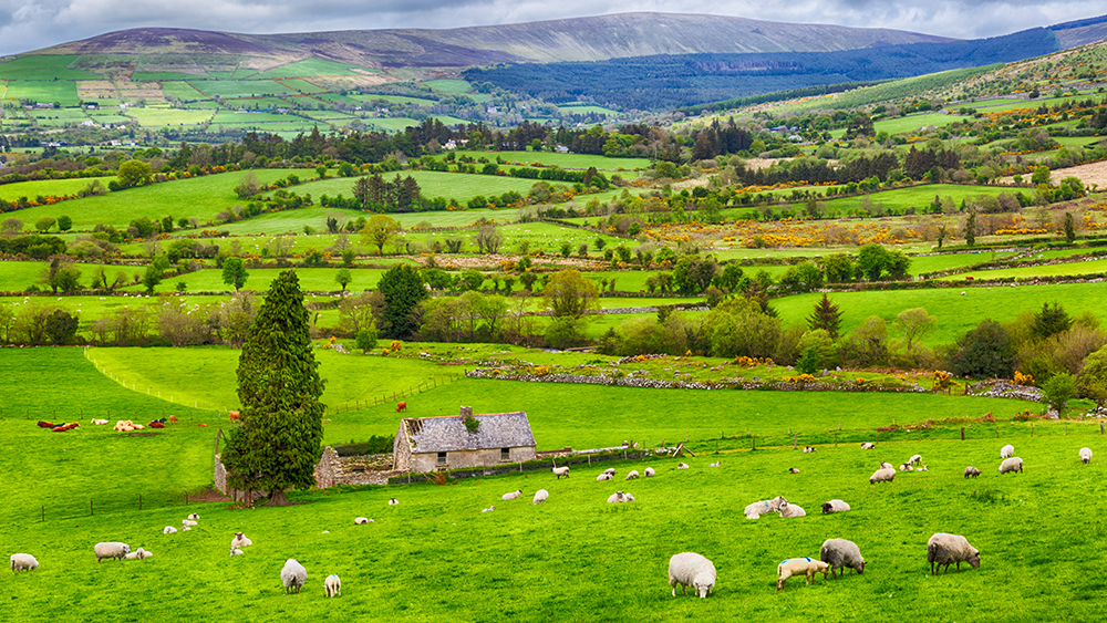 Ireland countryside 