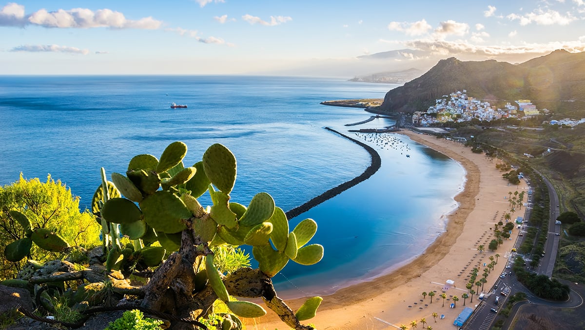 Santa Cruz de Tenerife Tenerife Canary Islands