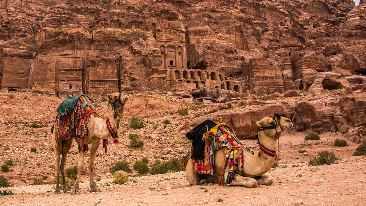 JordanPetra with Camels