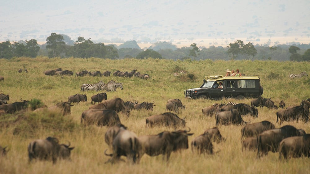Safari Jeep viewing the Great Migration