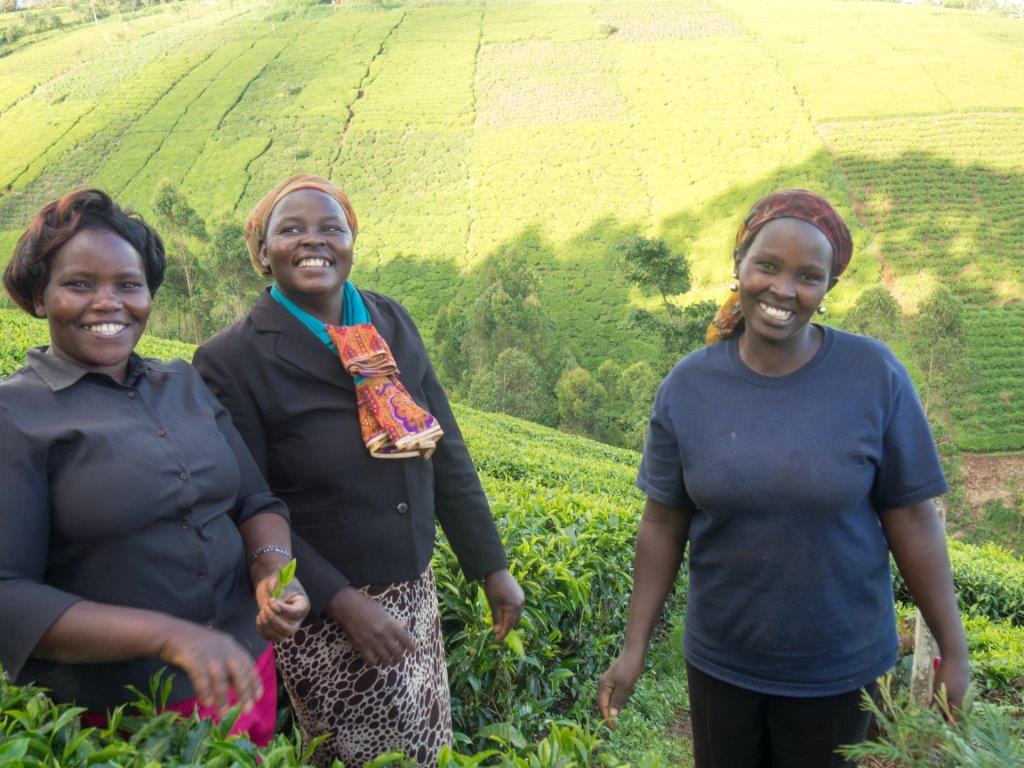 Kenya-TIST-Tea-Famers-Eunice-right-and-farmers-from-makombokijpg