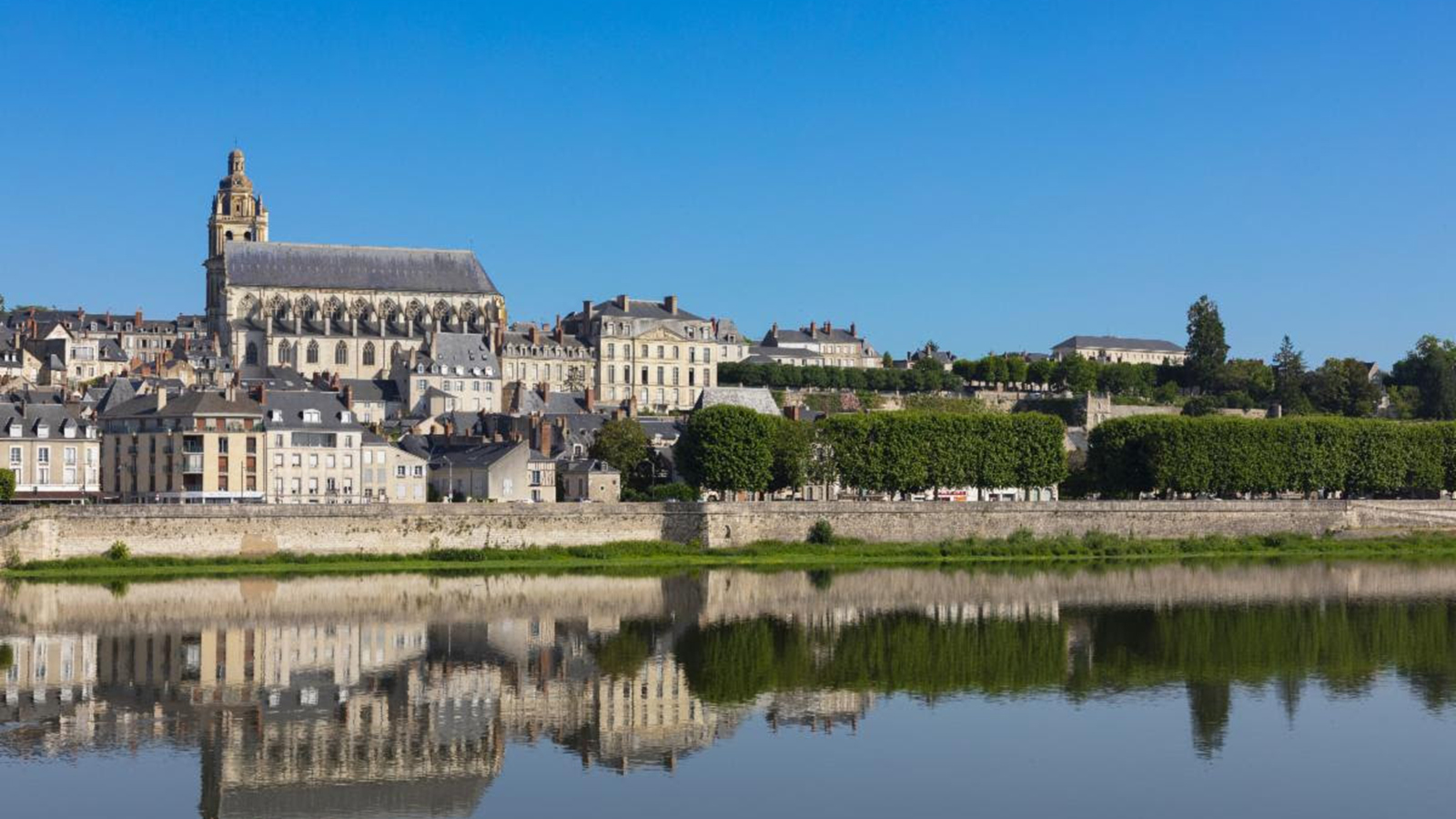 Blois Fleur de Loire
