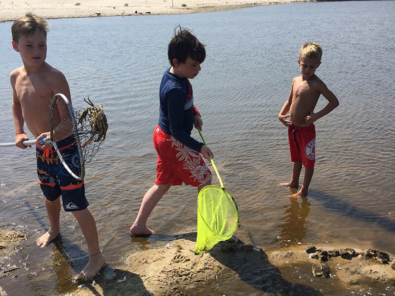 Kids catching crabs on the beach 