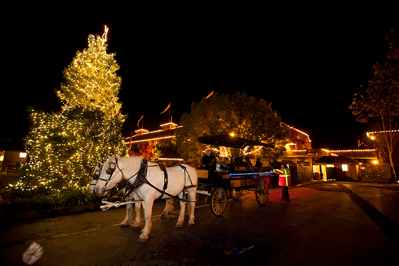 Yountville horse carriage during Christmas