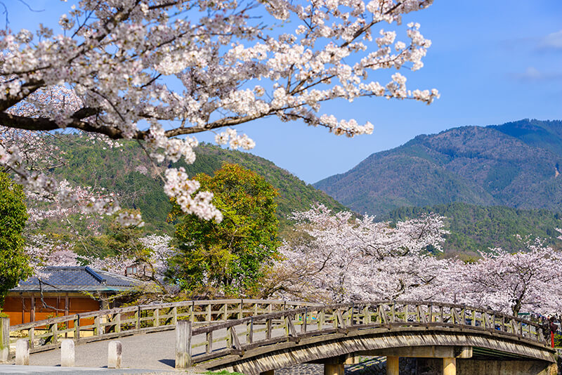Arashiyama Kyoto Japan in the spring