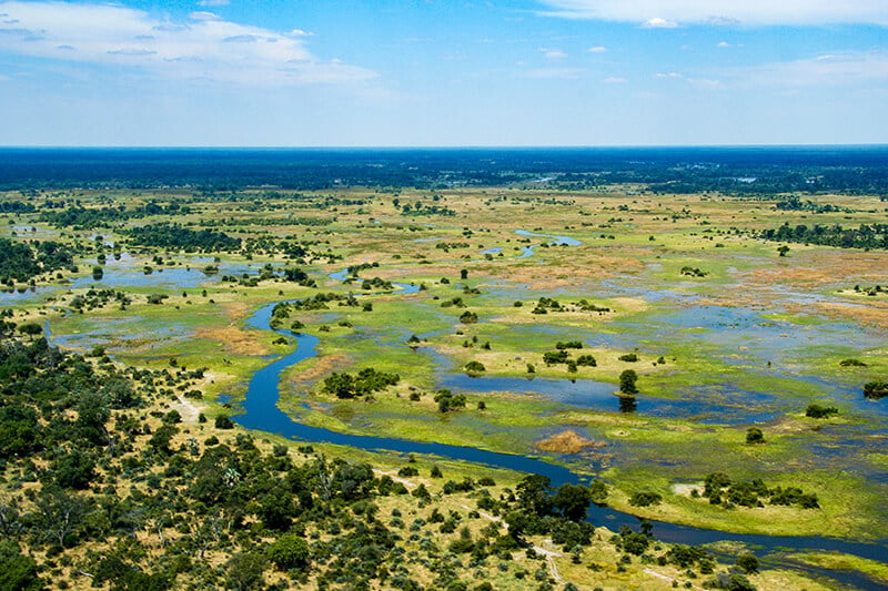 a birds-eye view of the Okavango Delta with savanna and a river