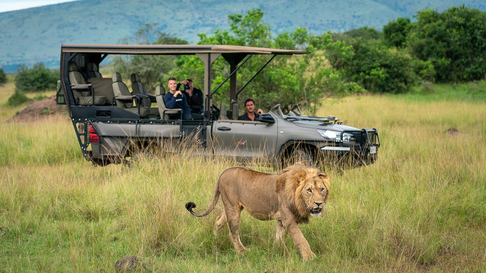 Rwanda Game drive lion Akagera National Park Magashi Camp Wilderness Safaris