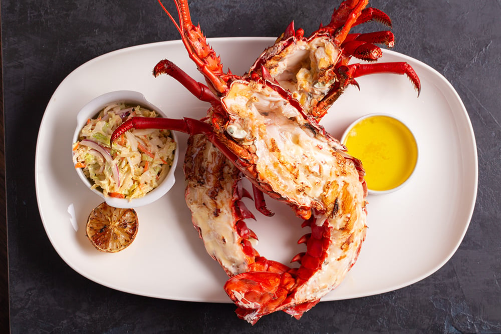 spiny lobster seafood