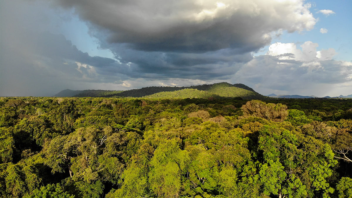 Surama RainforestGuyana David DiGregorio