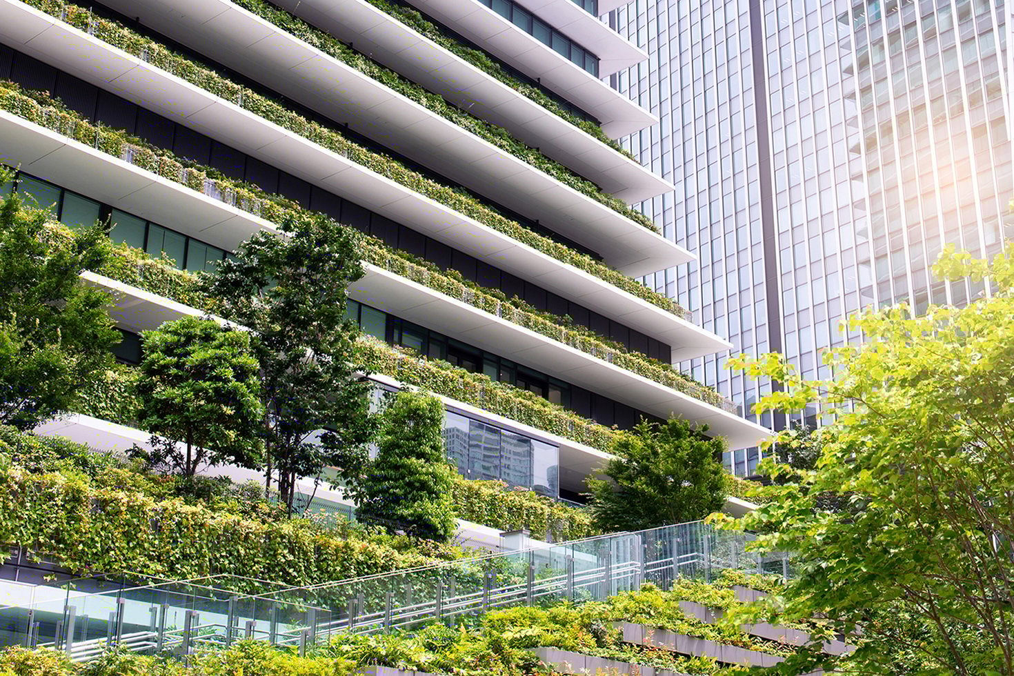 Green Stay Initiative Connects Green Hotels Corporate Clients green-stay-initiative-connects-green-hotels-corporate-clients