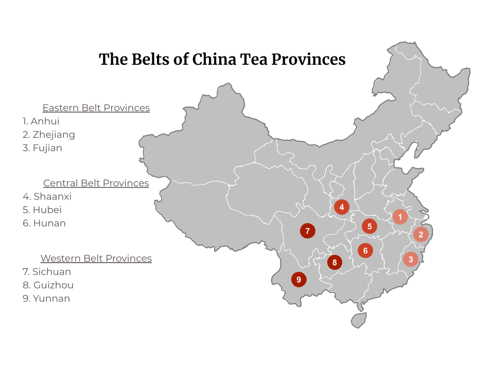 The-Tea-Belts-of-China