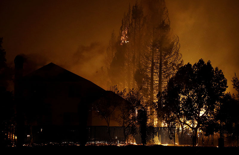 Trees burn behind houses in a residential area in Santa Rosa CA