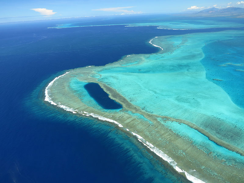 Coral reef in New Caledonia