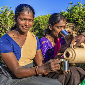 Tamil women drinking tea while they take a work break.