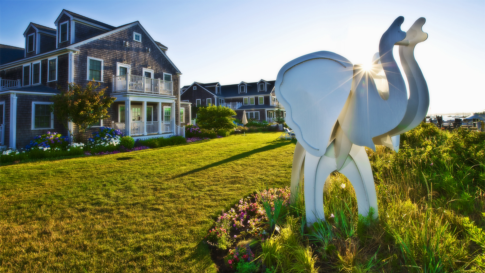 White Elephant Nantucket