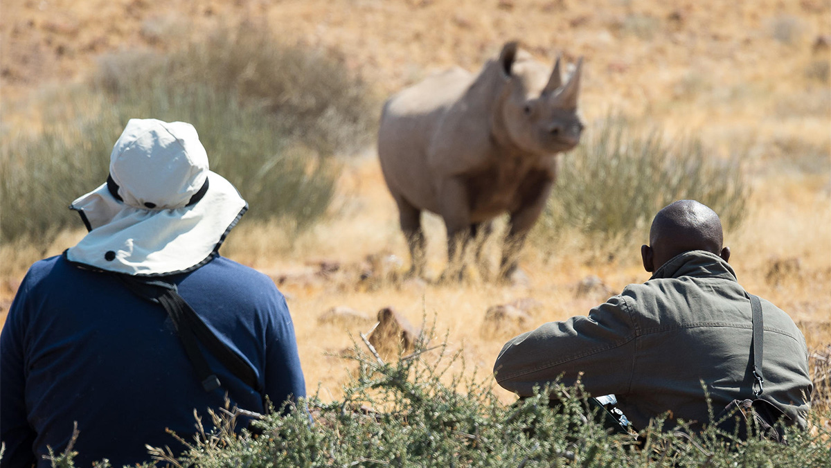 Wilderness Desert Rhino CampNamibia