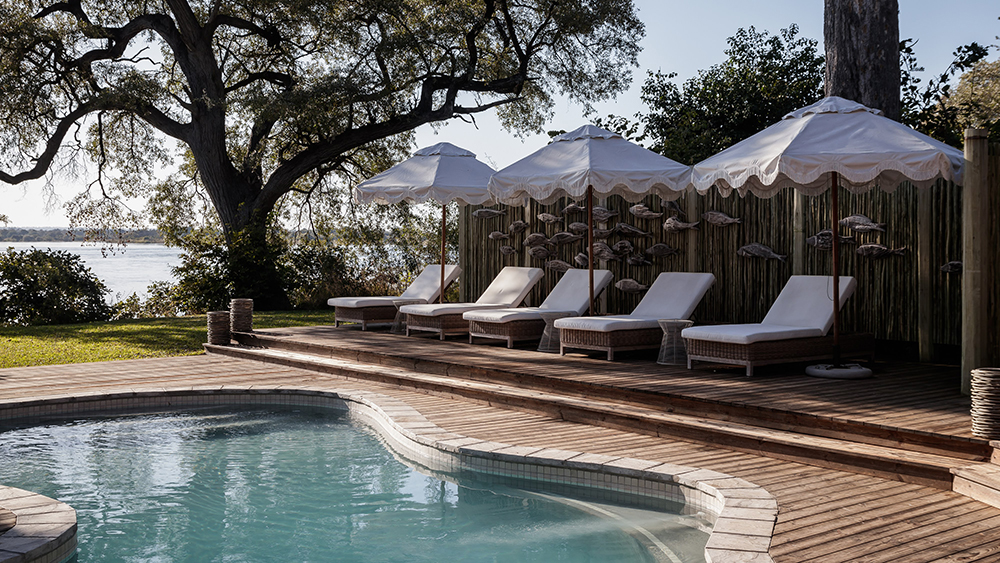 A pool with loungers in the savannah