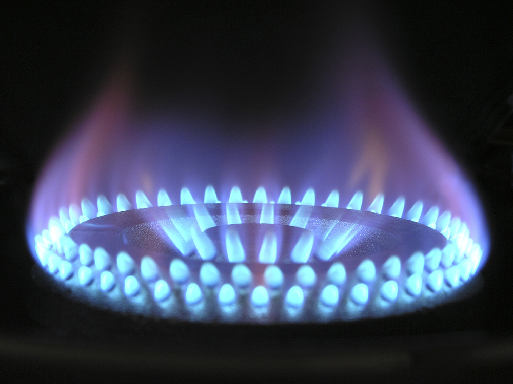 gas stove electric stove gas stove ban