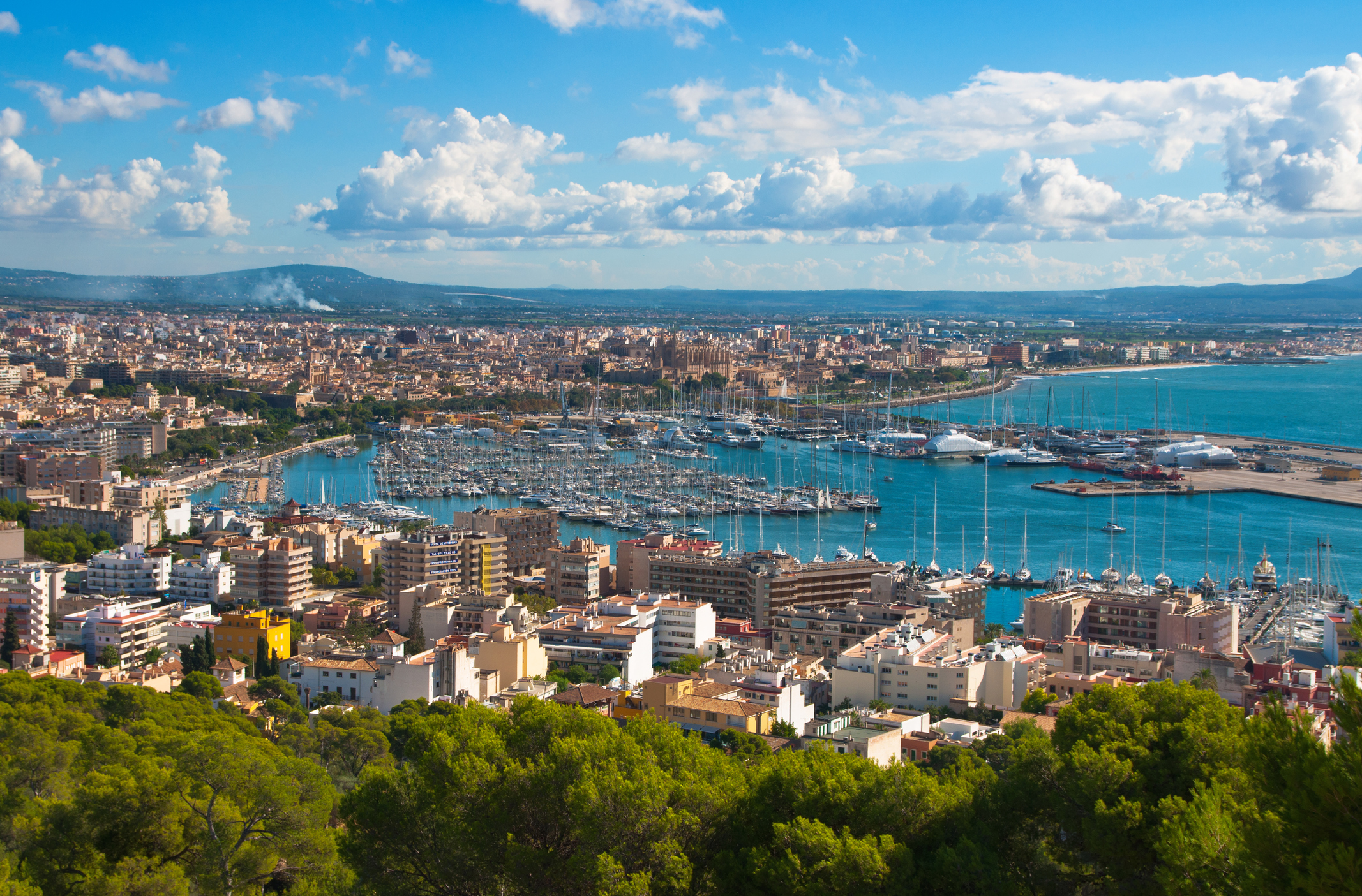 Palma the resort city and capital of the Spanish island of Mallorca has passed a law banning short-term rentals in the city