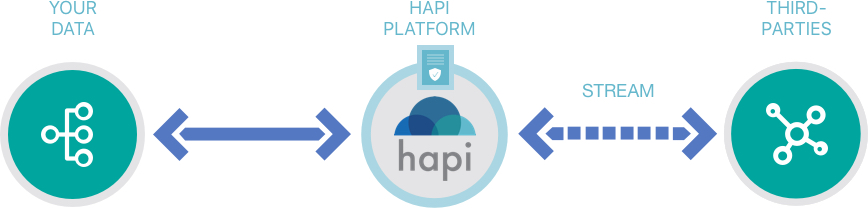 Data Travel launches HAPI integrated data platform