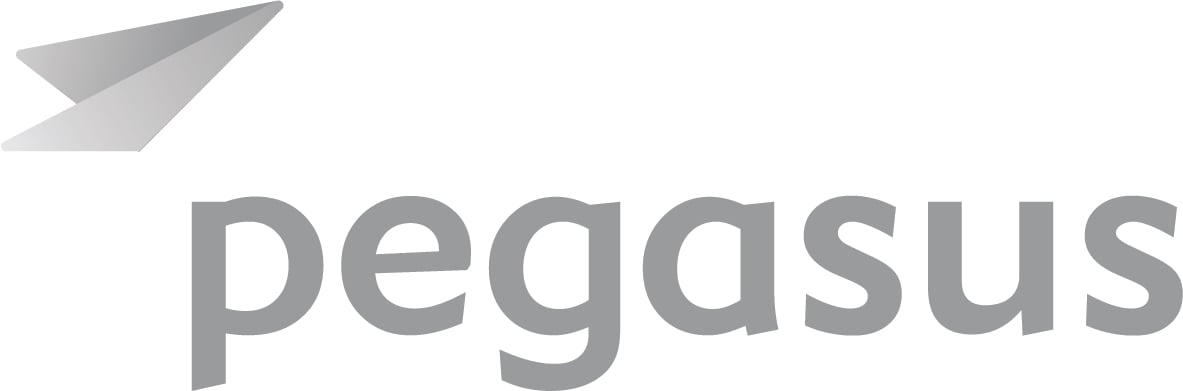 Merged Pegasus Travel Tripper release company name