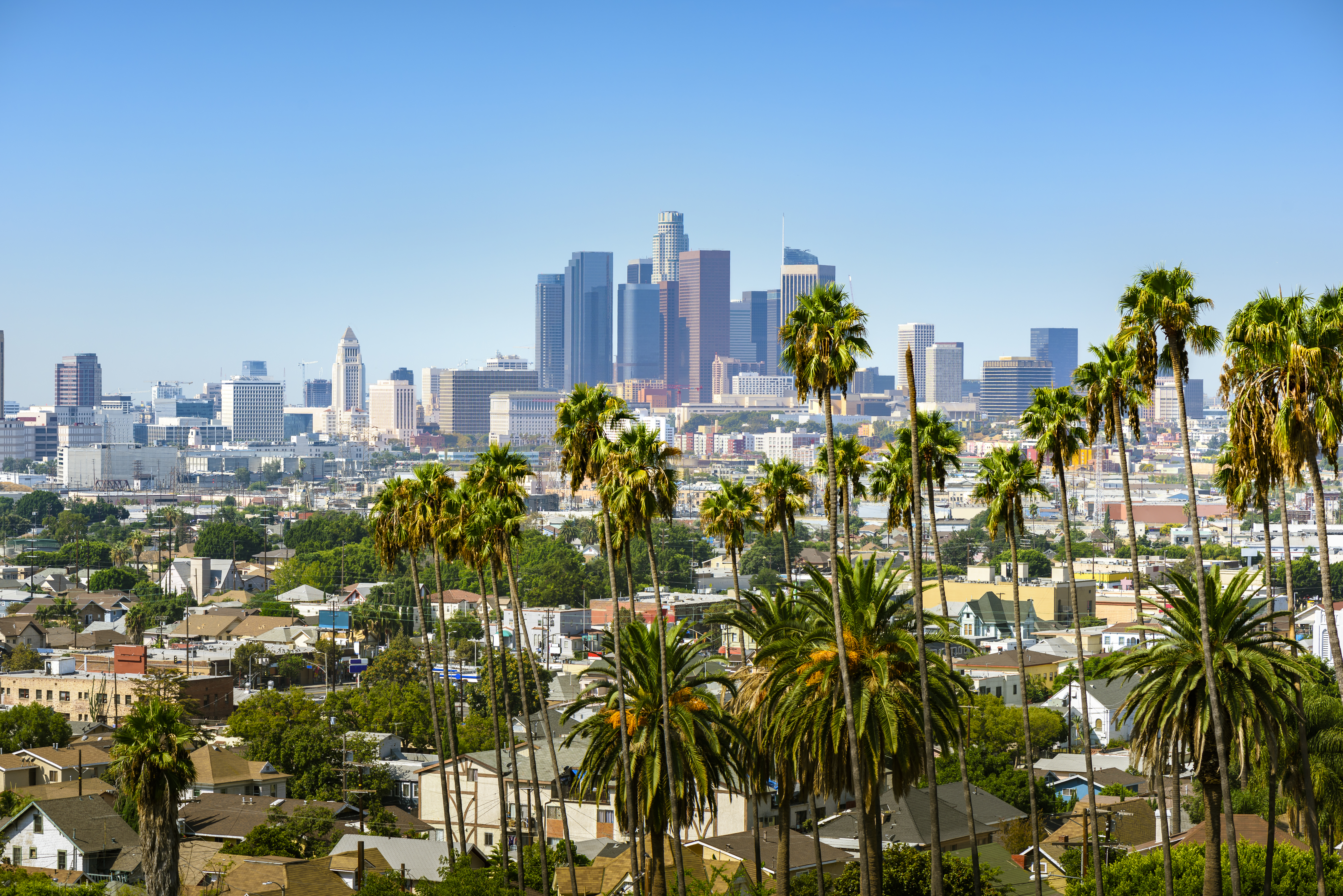 Подробный вид. Пальмы Лос Анджелеса. Лос Анджелес Даунтаун. Лос-Анджелес. Довнтовн Лос Анджелес.