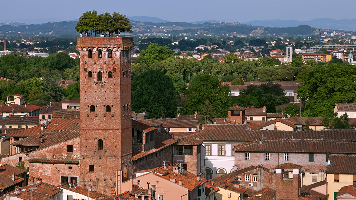 Torre Guinigi in Lucca Italy
