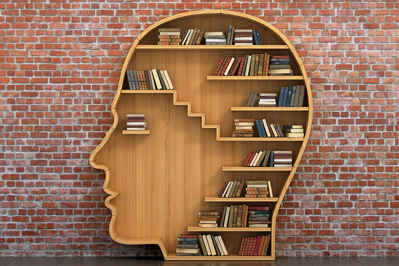 book shelf shaped like a head
