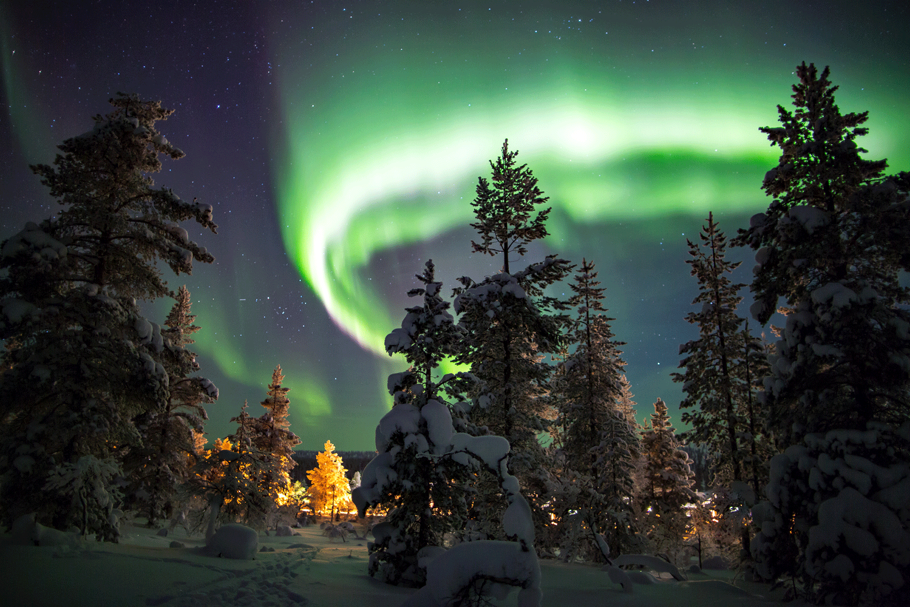 Aurora borealis in Lapland Finland