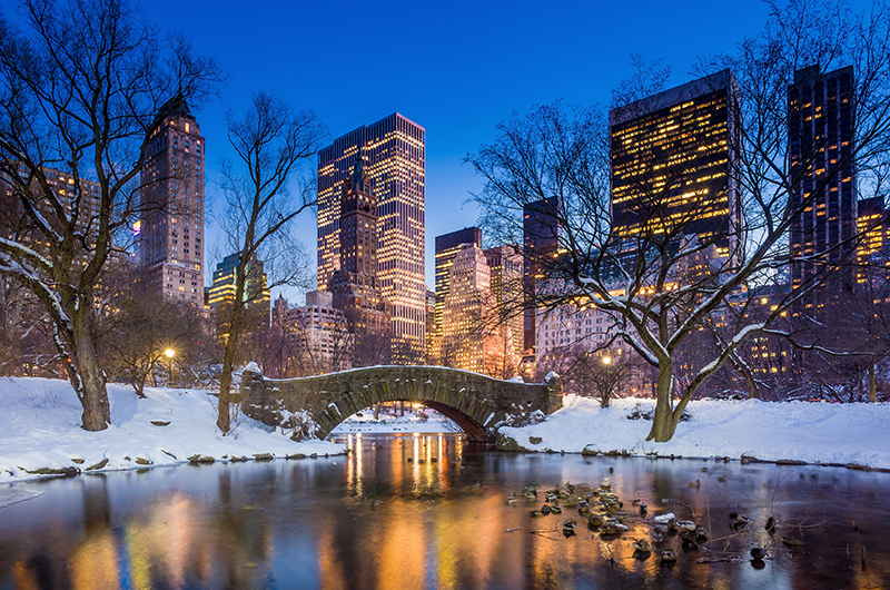 The Pierre Central Park New York City 