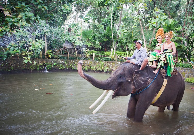 Couple on Elephant ride in Bali Indonesia
