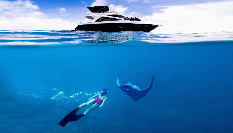 Photo of ship woman snorkeling and manta ray 