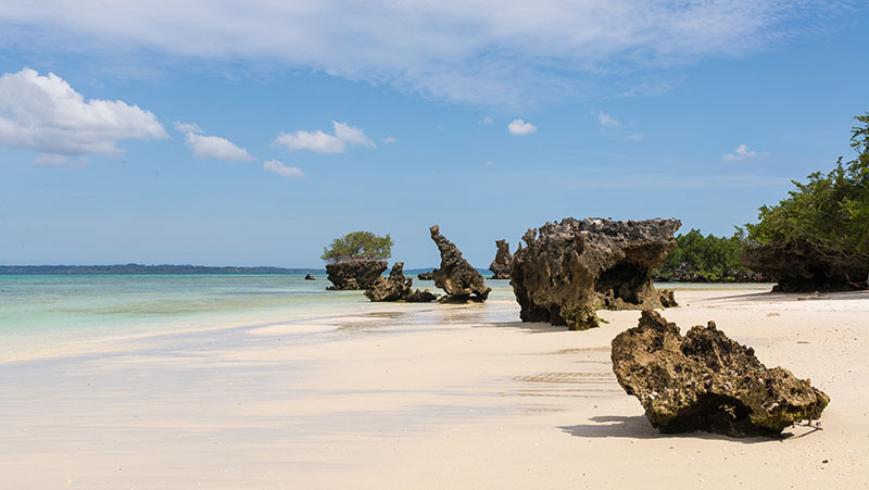 Pemba Island Zanzibar