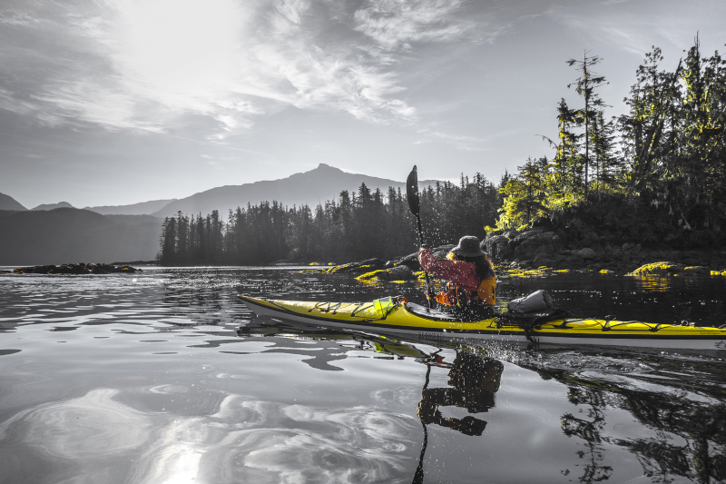 A woman kayaks in Great Bear Rainforest