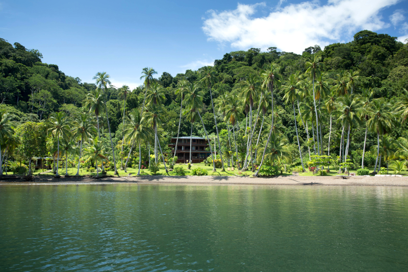 A view from the water of Playa Cativo Lodge surrounded by trees