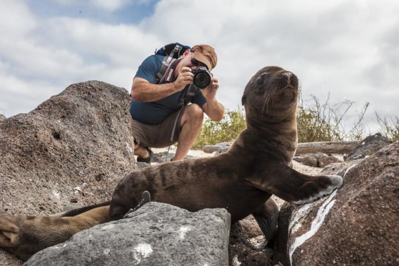 Image of man photographing seal 